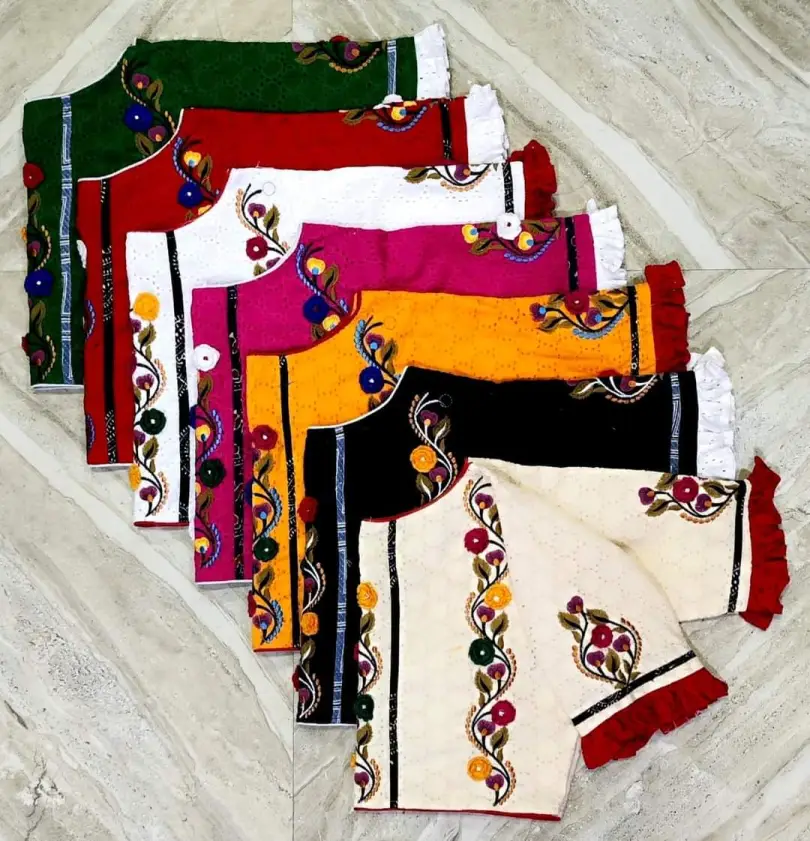 Embroidered Saree Blouse